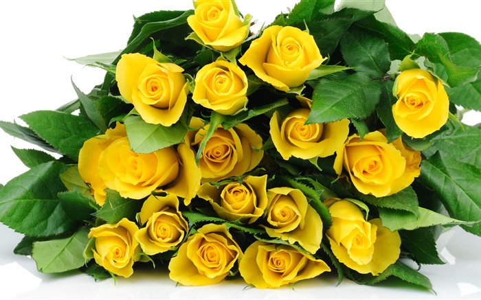 A bouquet yellow rose flowers Wallpapers Pictures Photos Images
