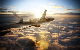Airbus A300 aircraft, sky, clouds, sun rays HD wallpaper
