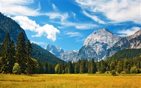 Alps, autumn, blue sky, clouds, forest, grass HD wallpaper