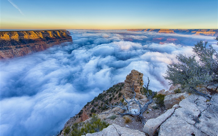 Arizona, USA, Grand Canyon, morning, sunrise, fog, clouds Wallpapers Pictures Photos Images