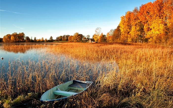 Autumn, lake, grass, boat, trees, house Wallpapers Pictures Photos Images