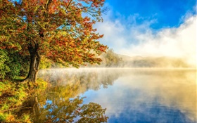 Autumn landscape, lake, mist, forest HD wallpaper