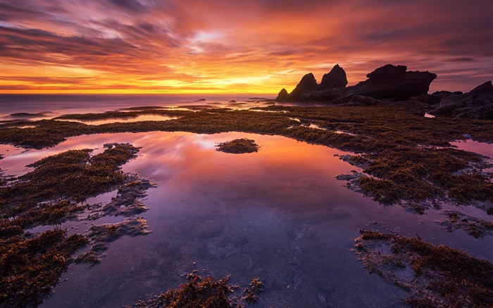 Bali, Indonesia, red sky, sea, coast, sunset Wallpapers Pictures Photos Images