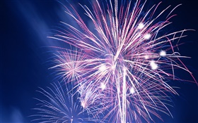 Beautiful fireworks in the sky HD wallpaper