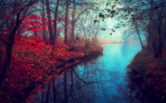 Beautiful nature scenery, autumn, river, trees, red leaves Wallpapers Pictures Photos Images