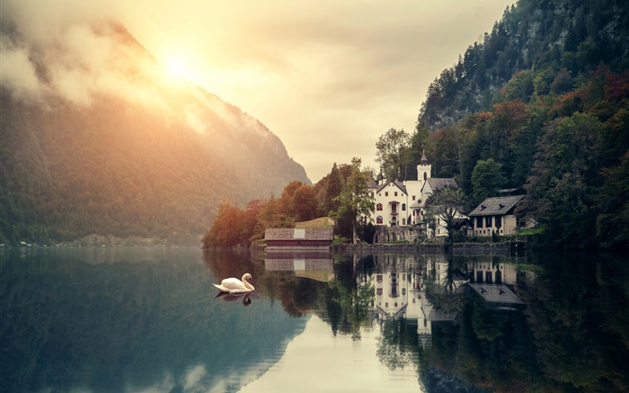 Beautiful scenery, morning, mountain, lake, house, swans, sunrise Wallpapers Pictures Photos Images