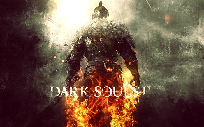 Dark Souls 2, back view Wallpapers Pictures Photos Images