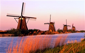 Dutch scenery, windmills, rivers, evening HD wallpaper