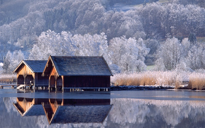 Houses, river, trees, winter, Germany Wallpapers Pictures Photos Images