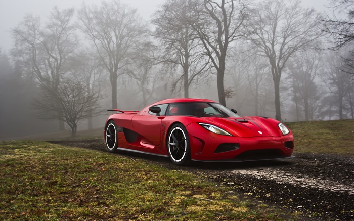 Koenigsegg red supercar in the forest Wallpapers Pictures Photos Images