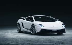 Lamborghini white supercar front view HD wallpaper