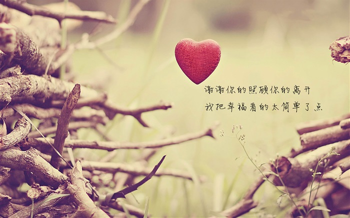 Love heart and twigs Wallpapers Pictures Photos Images
