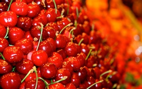 Many red cherry berries HD wallpaper