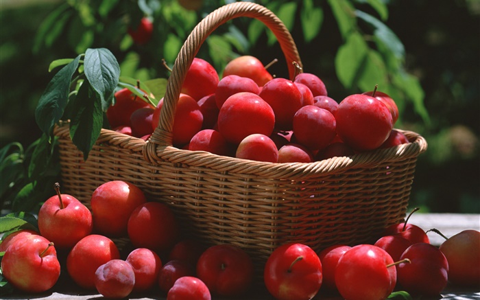 Many red plums, basket Wallpapers Pictures Photos Images