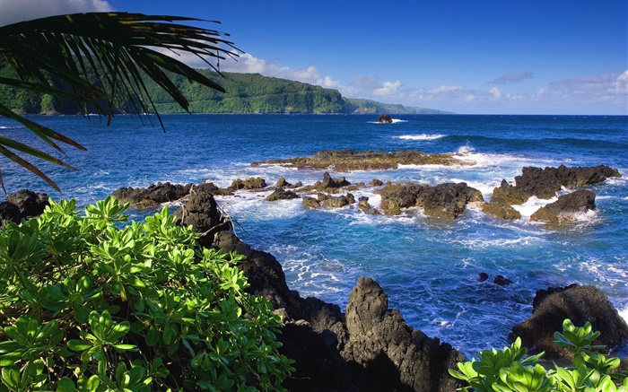 Maui, Hawaii, United States, sea Wallpapers Pictures Photos Images
