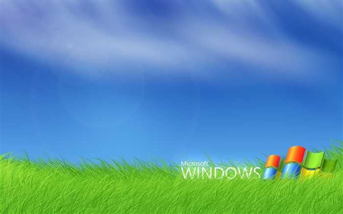 Microsoft Windows logo in the grass Wallpapers Pictures Photos Images