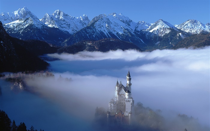 Neuschwanstein Castle, Germany Wallpapers Pictures Photos Images
