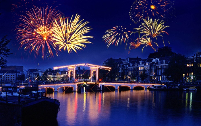 Night, city, house, lights, bridge, river, fireworks Wallpapers Pictures Photos Images