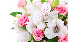 Pink roses, white orchids HD wallpaper