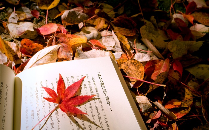 Red leaves, Japanese book Wallpapers Pictures Photos Images