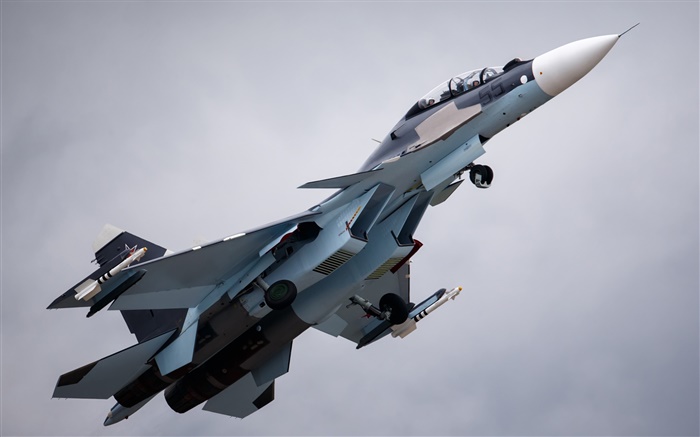 Su-30 fighter Wallpapers Pictures Photos Images