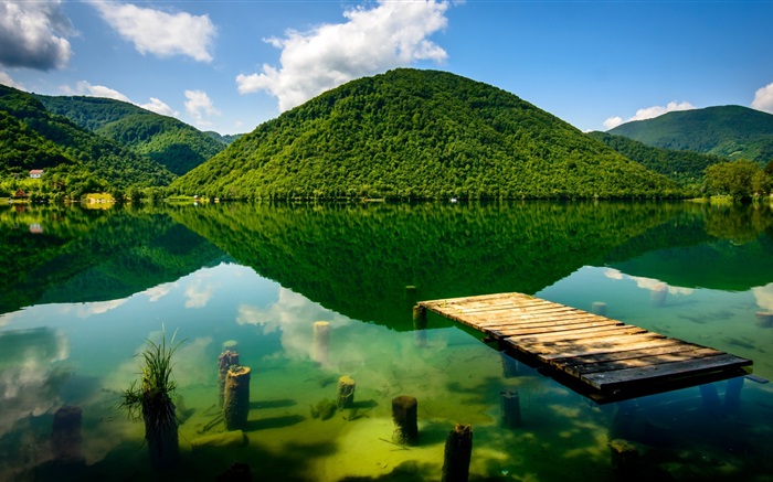 Summer, green, lake, mountains Wallpapers Pictures Photos Images