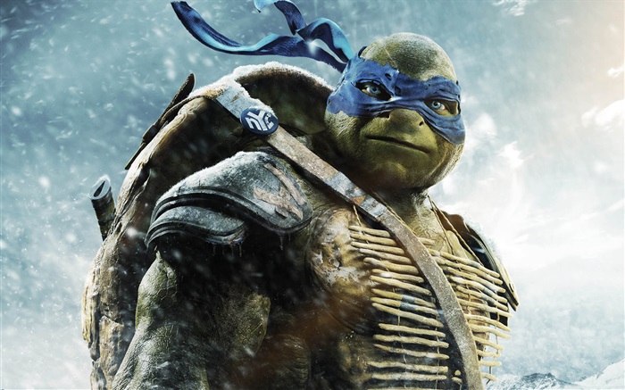 Teenage Mutant Ninja Turtles, Leo Wallpapers Pictures Photos Images