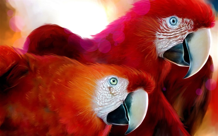 Two red feathers parrot Wallpapers Pictures Photos Images