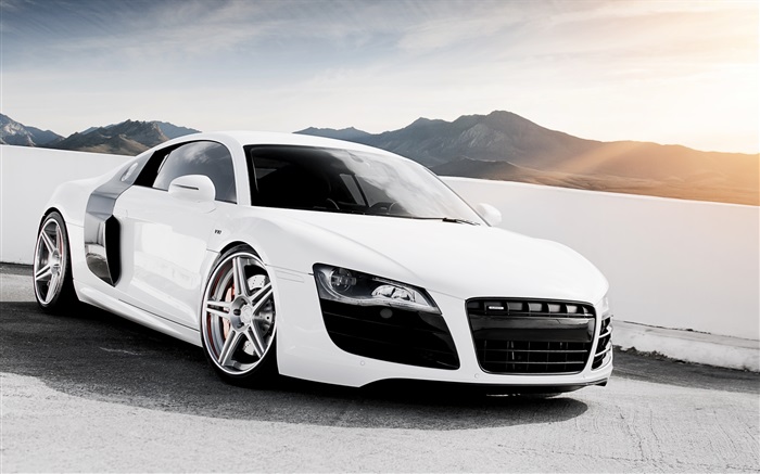 White Audi R8 V10 supercar Wallpapers Pictures Photos Images