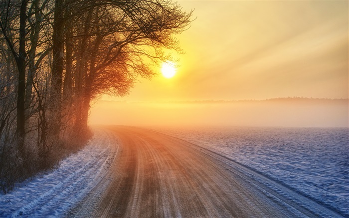 Winter sunrise, road, mist, trees Wallpapers Pictures Photos Images