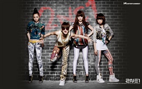 2NE1, Korean music girls 02 HD wallpaper