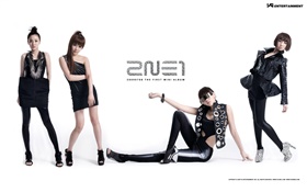 2NE1, Korean music girls 03