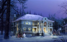3D design, winter house, snow, night