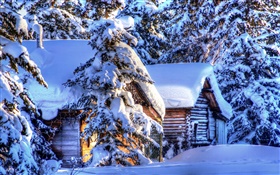 Alaska, thick snow, forest, spruce, huts, winter HD wallpaper