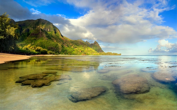 Beach, coral reef, underwater, Kauai, Hawaiian Wallpapers Pictures Photos Images