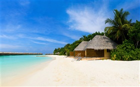 Beach, sea, leisure hut, palm trees HD wallpaper
