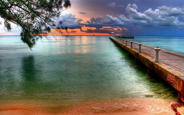 Beach, sea, pier, tree, clouds, sunset Wallpapers Pictures Photos Images