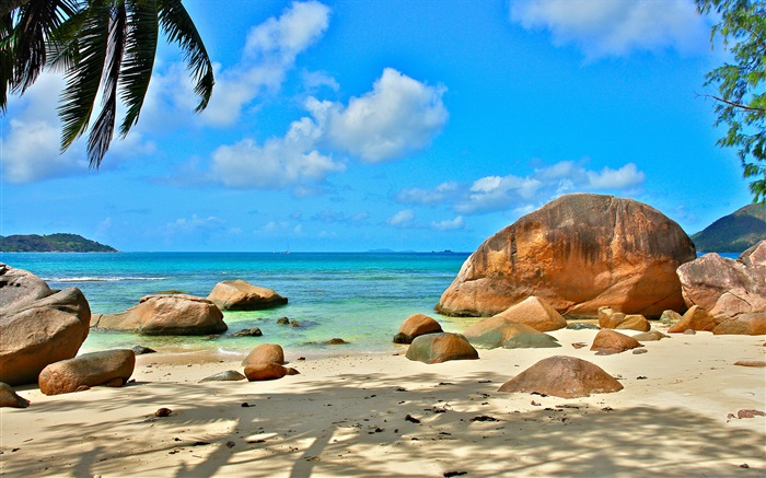 Beach, sea, stones, sun rays, Seychelles Island Wallpapers Pictures Photos Images