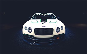 Bentley Continental GT3 Concept car front view HD wallpaper