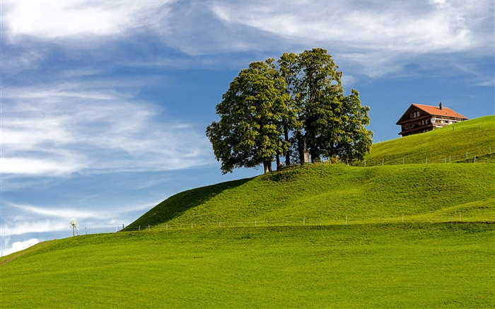 Blue sky, grass, tree, house, hillside, Einsiedeln, Schwyz, Switzerland Wallpapers Pictures Photos Images