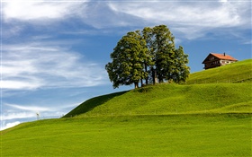 Blue sky, grass, tree, house, hillside, Einsiedeln, Schwyz, Switzerland HD wallpaper