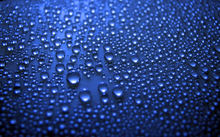 Blue water drops Wallpapers Pictures Photos Images