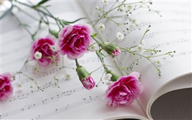 Carnations, pink flowers, book
