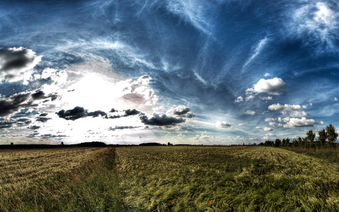 Clouds, green fields, nature scenery, dusk Wallpapers Pictures Photos Images