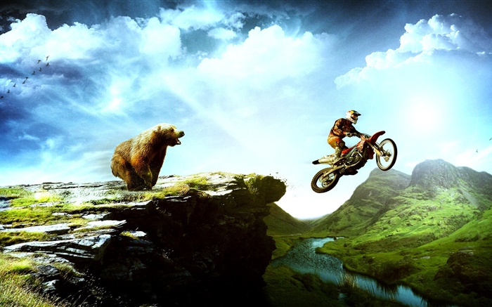 Creative pictures, bear chase motorcycle Wallpapers Pictures Photos Images