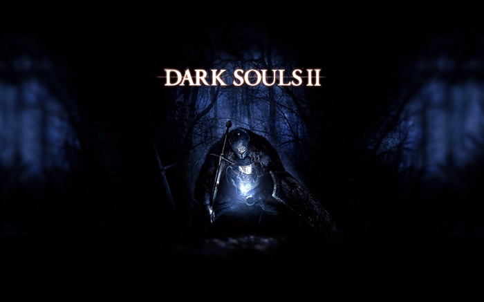 Dark Soul 2, night forest Wallpapers Pictures Photos Images