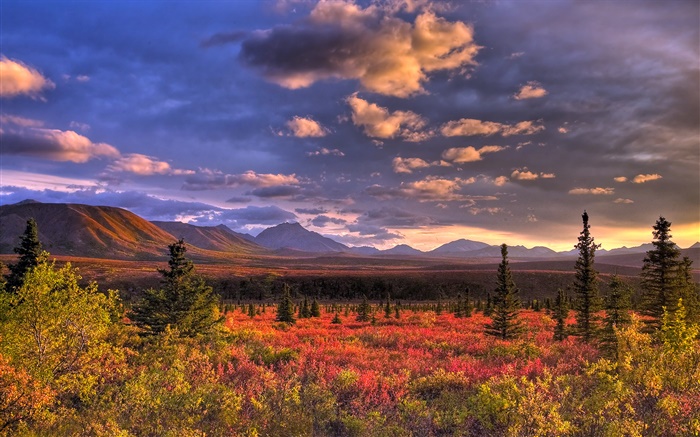 Denali National Park, Alaska, USA, clouds, dusk, grass Wallpapers Pictures Photos Images