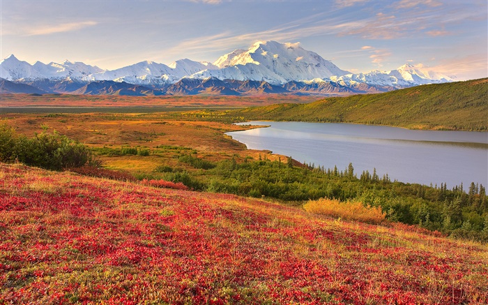 Denali National Park, Alaska, USA, grass, lake, mountains Wallpapers Pictures Photos Images