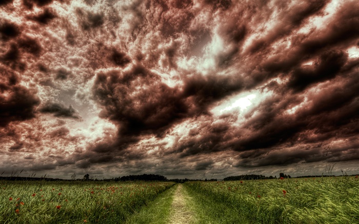 Dusk, clouds, path, fields Wallpapers Pictures Photos Images