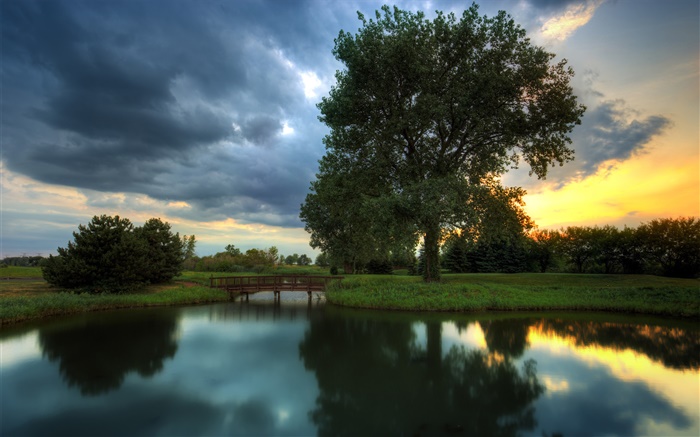 Dusk, trees, grass, water reflection, sunset Wallpapers Pictures Photos Images